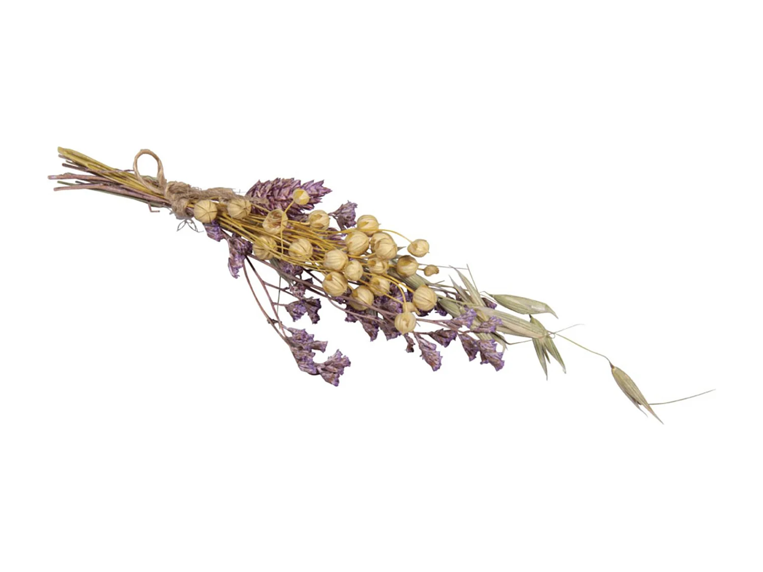 Boeket gedroogde lila bloemen