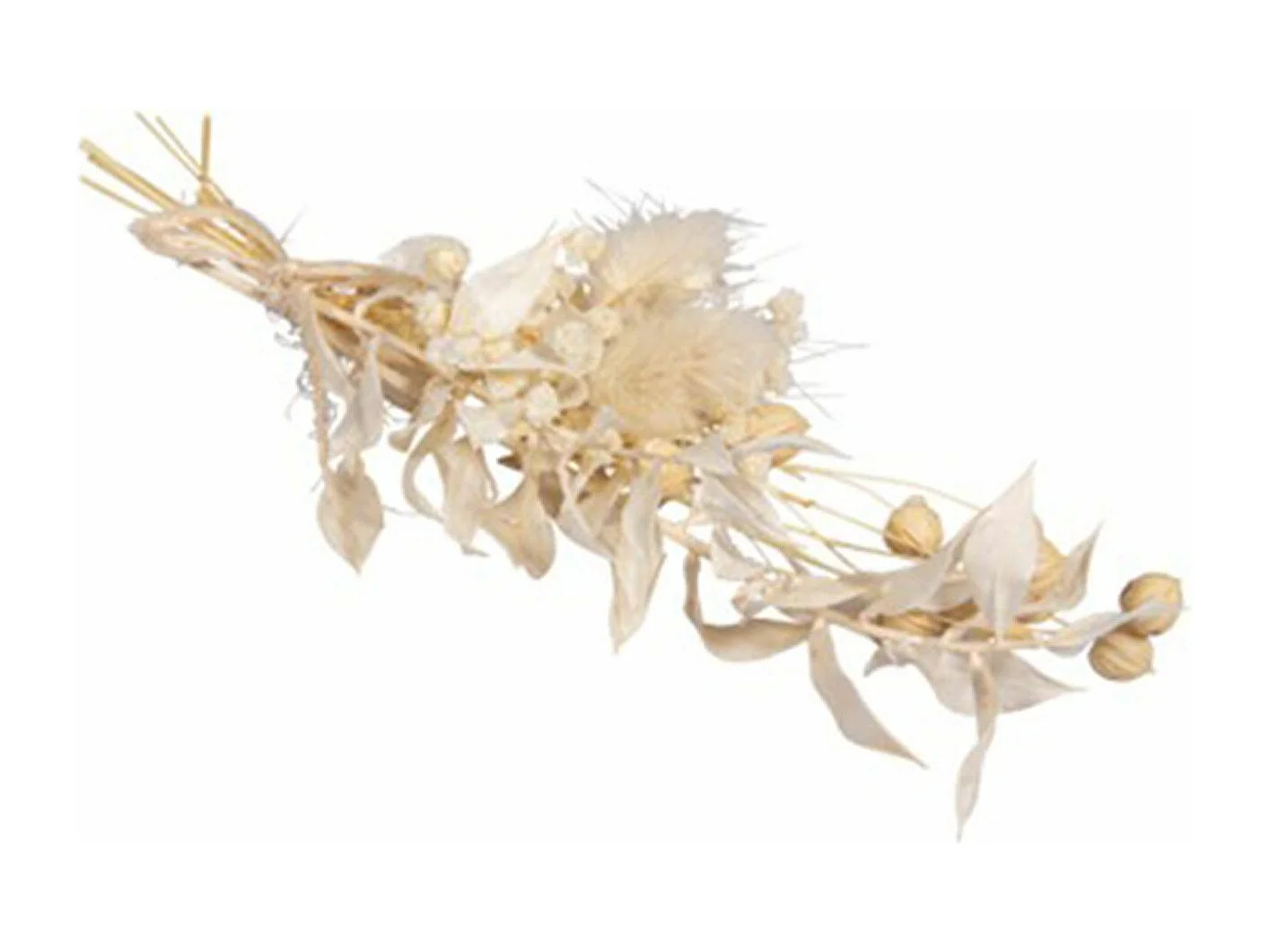 Boeket van witte gedroogde bloemen