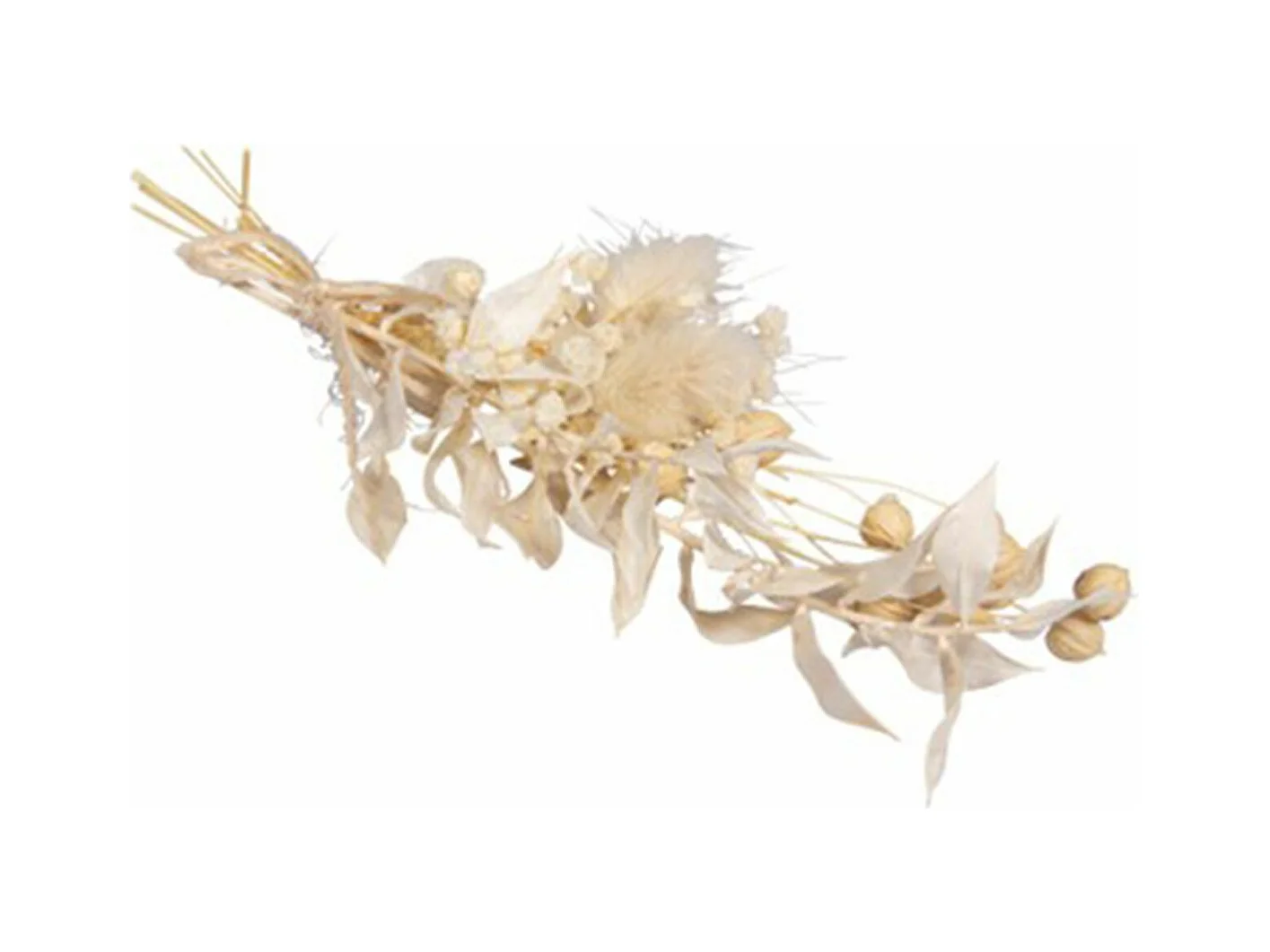 Bouquet de fleurs séchées blanches