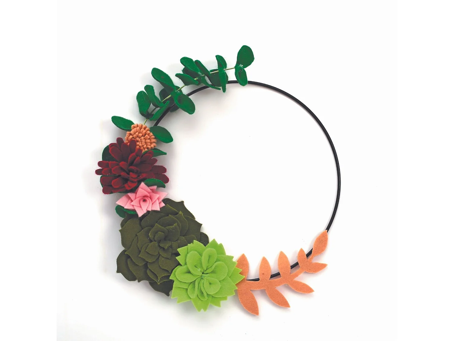 Coffret DIY Couronne de succulentes