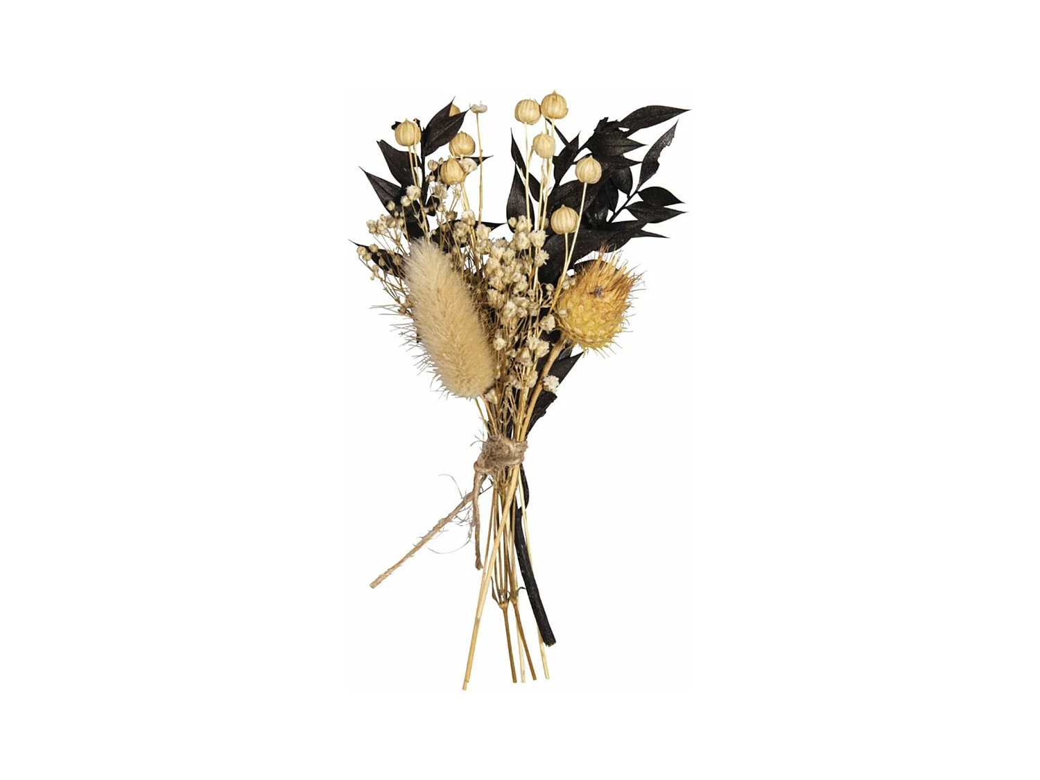 Bouquet de fleurs séchées noires et beiges