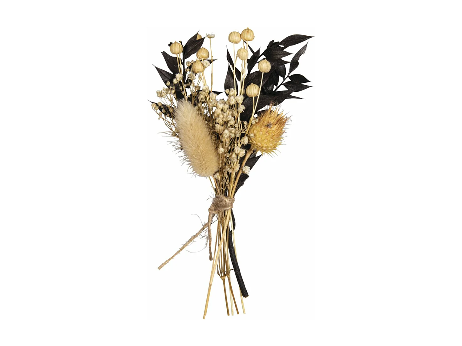 Bouquet de fleurs séchées noires et beiges