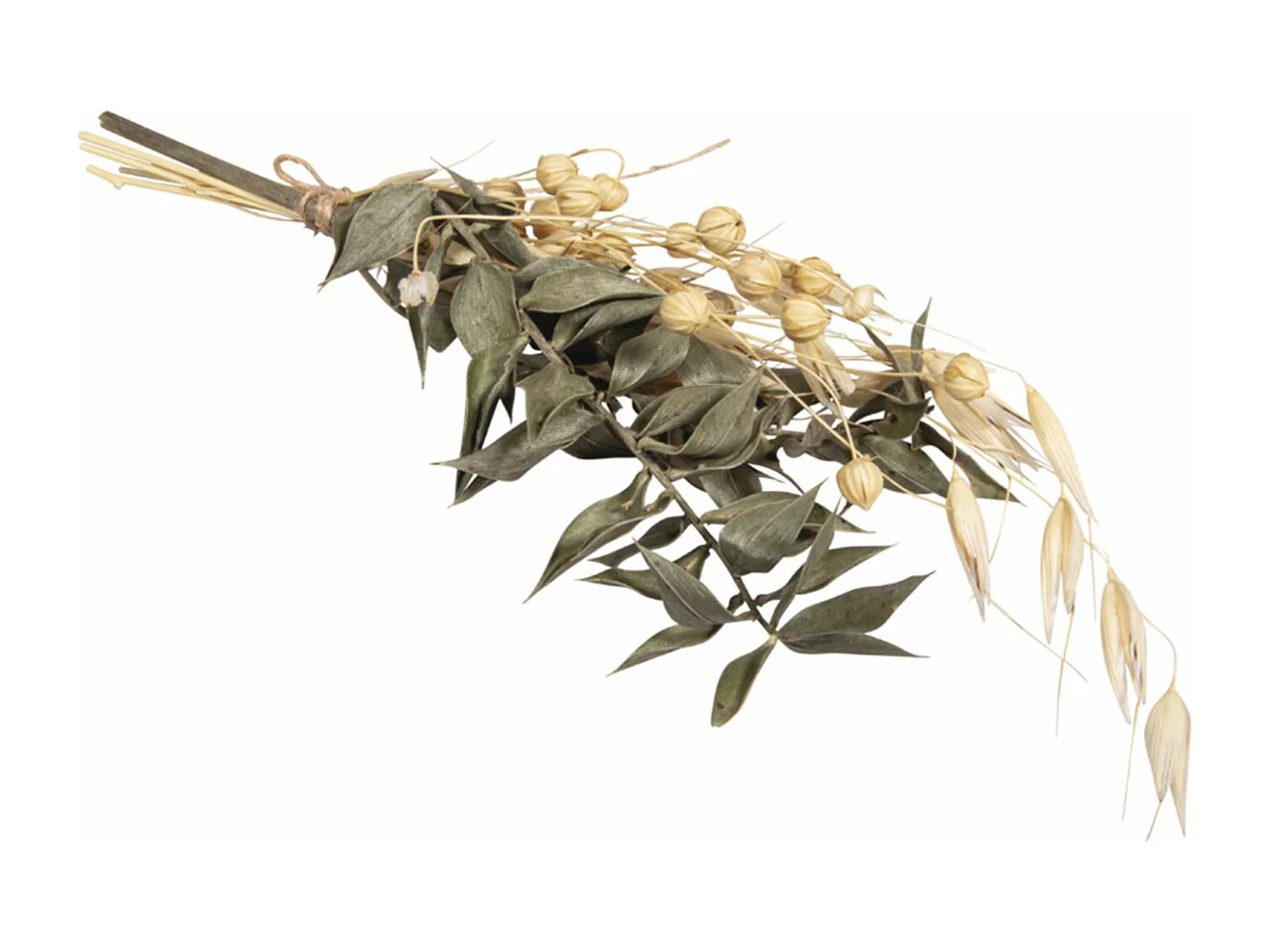 Boeket van natuurlijke gedroogde bloemen