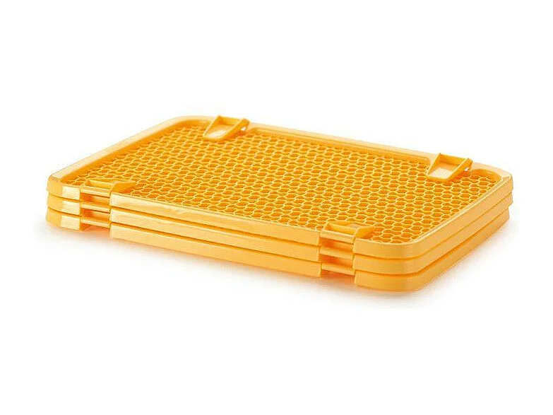 Planche de séchage pour fruits et légumes x 3