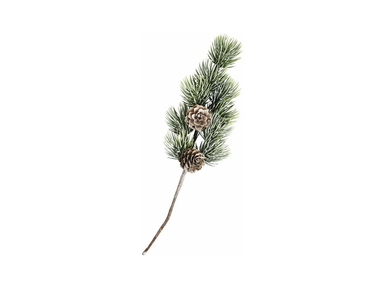 5 rameaux de sapin avec pigne 24 cm