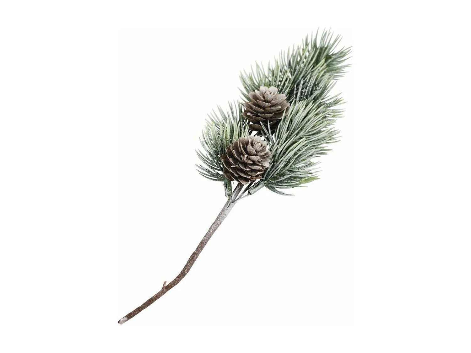 5 rameaux de sapin avec pigne 24 cm