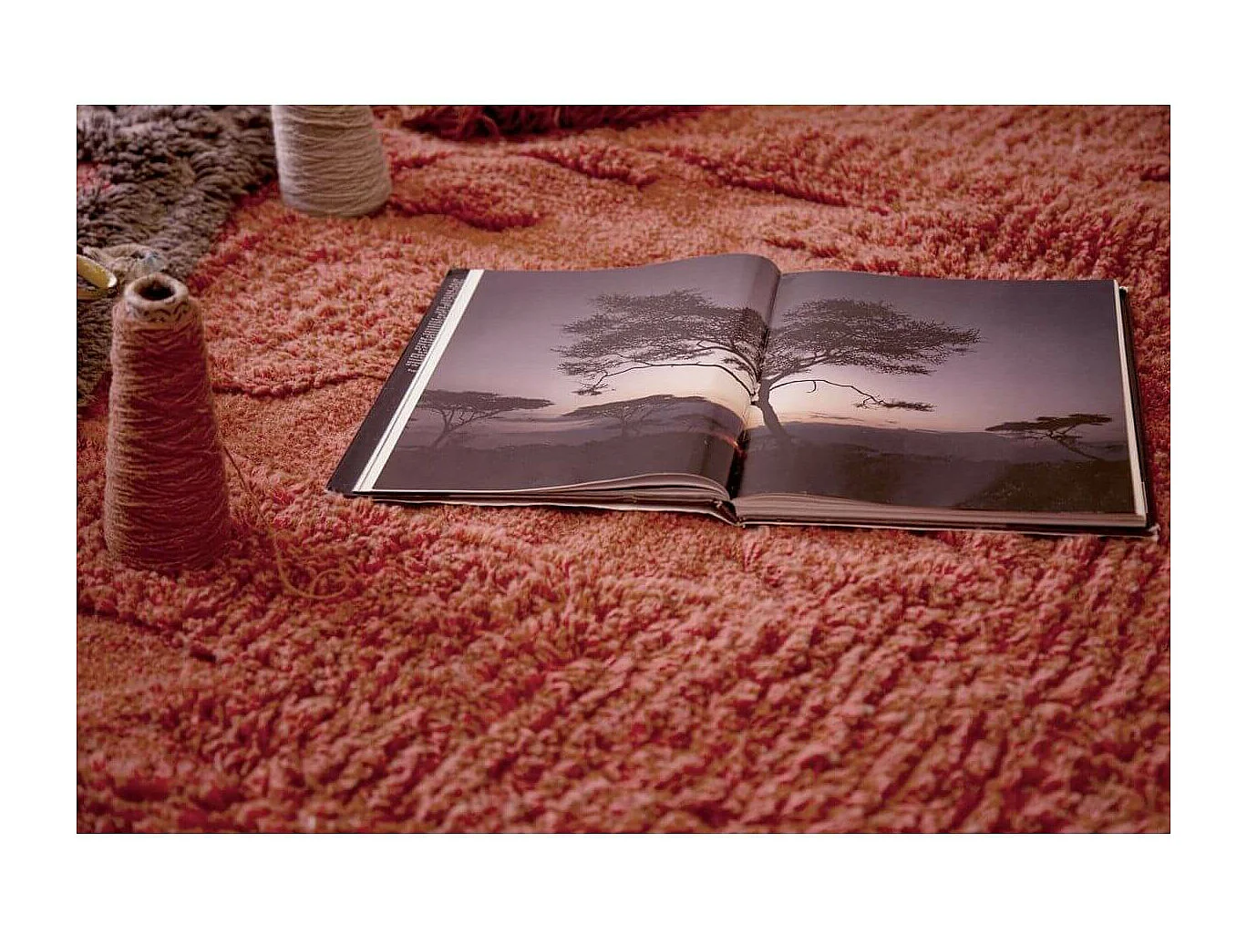 Tapis de salon marron en laine lavable en machine ethnique Naranguru Rectangulaire Design