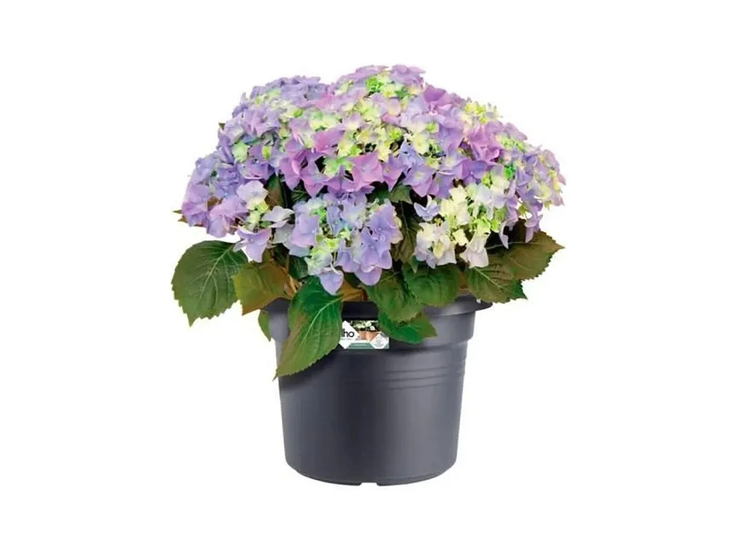 Cilinder 65 Bloembak - Zwart Ø 64 x 49 cm