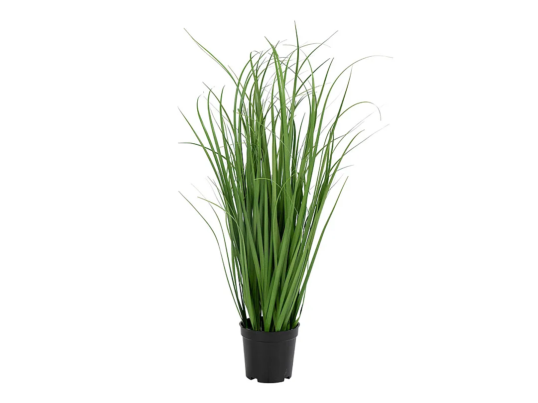 Græs Künstliches Poa Gras H68 cm grün.