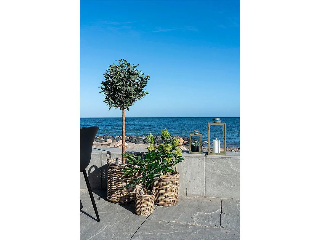 Albero di fichi artificiale 50 cm