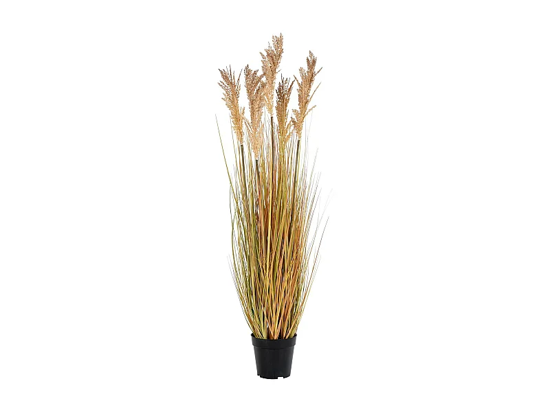 Kunstgras Sorghum 110 cm Natural