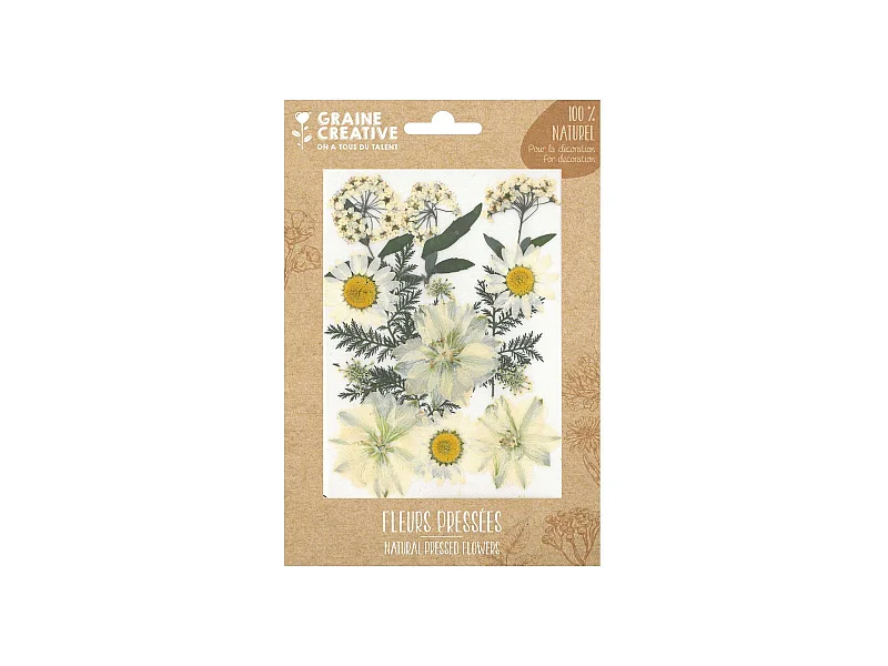 15 fleurs pressées - prairie blanche