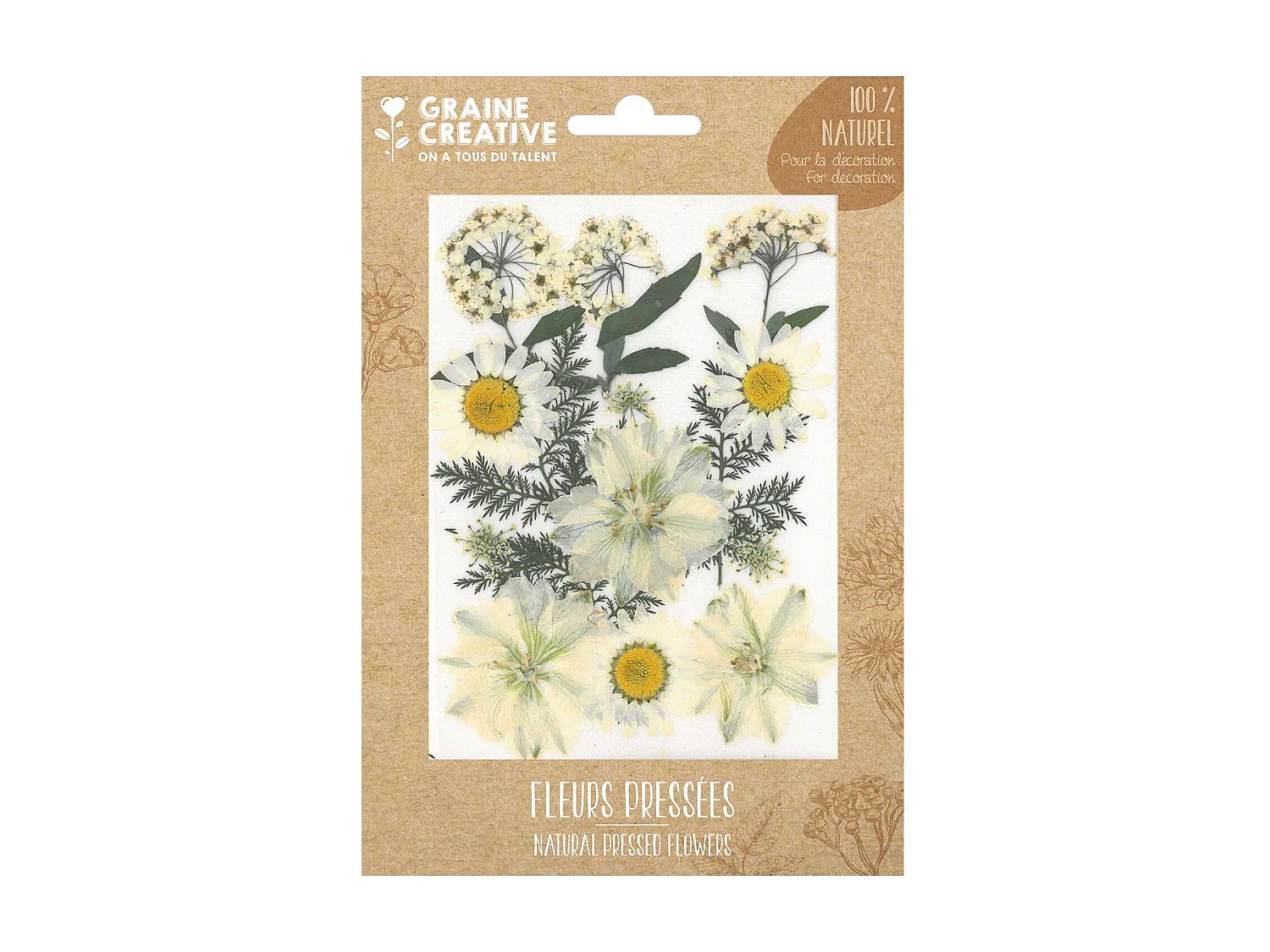 15 fleurs pressées - prairie blanche