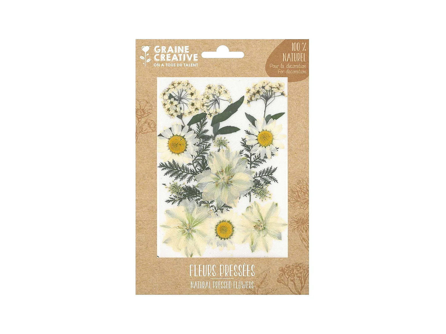 15 fleurs pressées - prairie blanche
