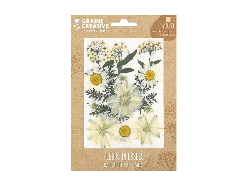 15 fleurs pressées - prairie blanche