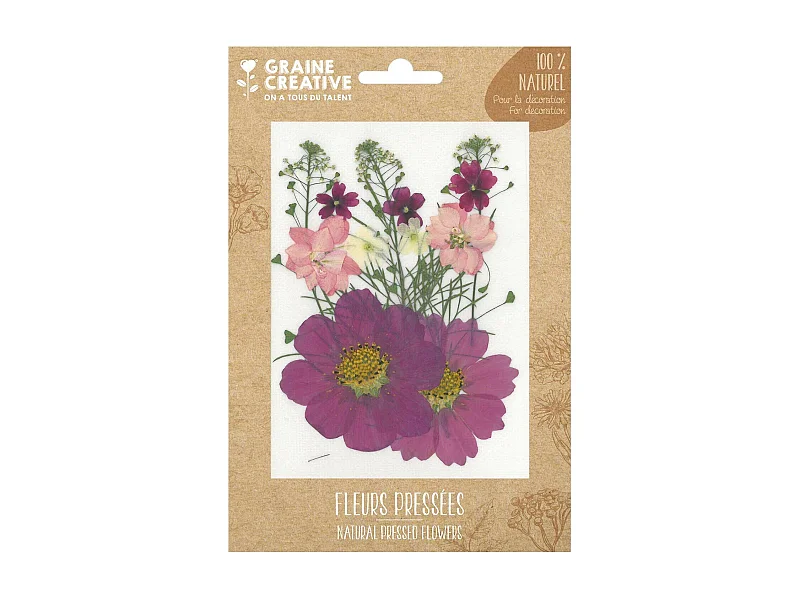 14 fiori pressati prato viola