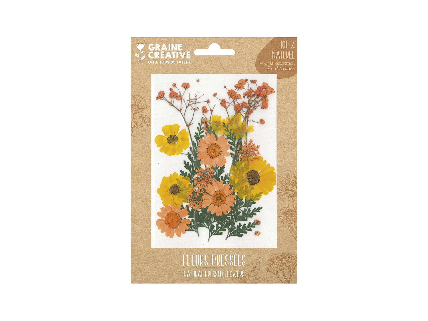 18 fleurs pressées - prairie jaune