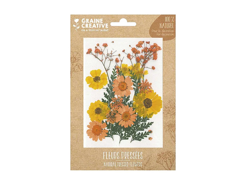 18 gepresste Blumen gelbe Wiese