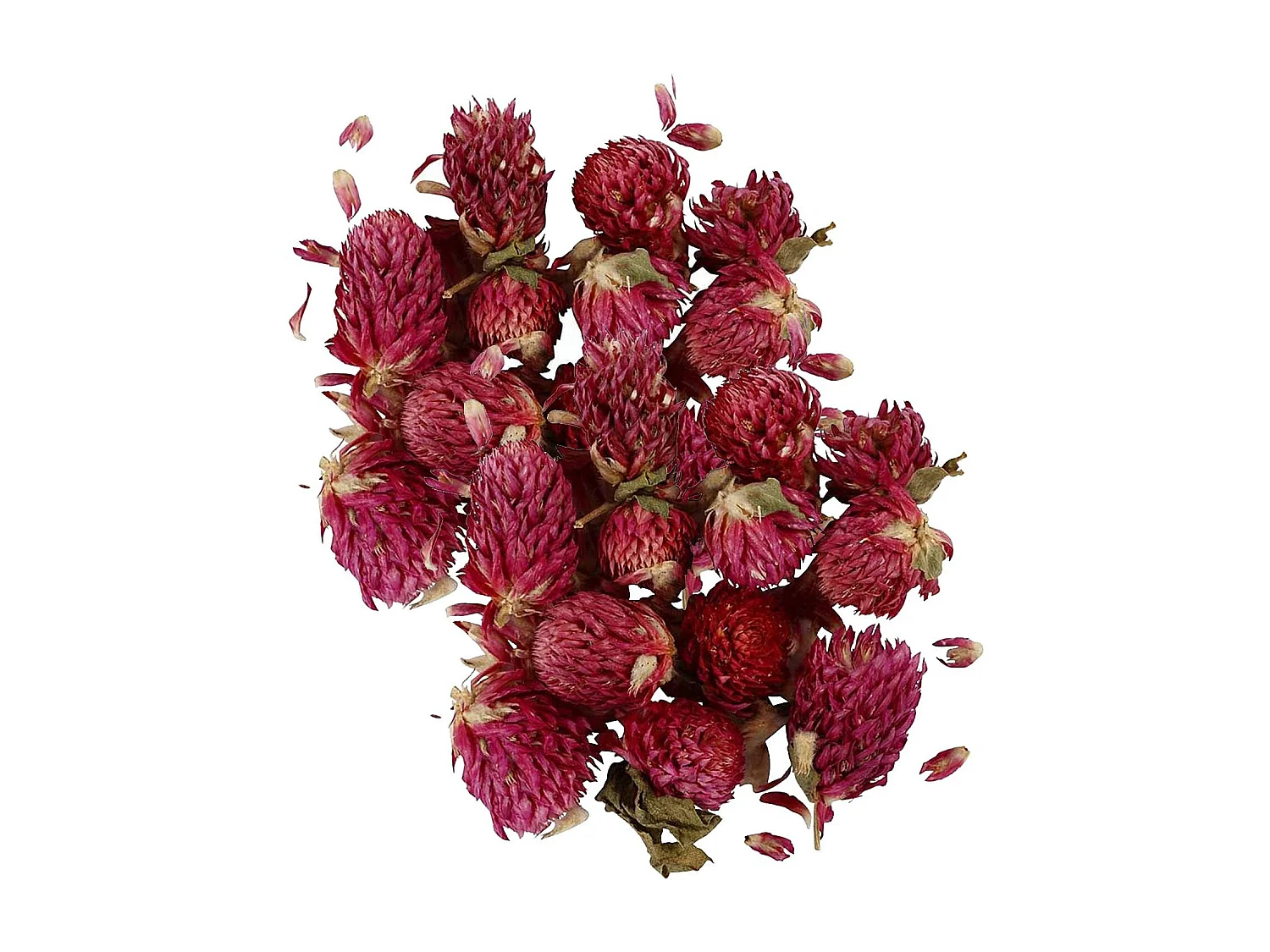 Fiori secchi Trifoglio rosso 30 g