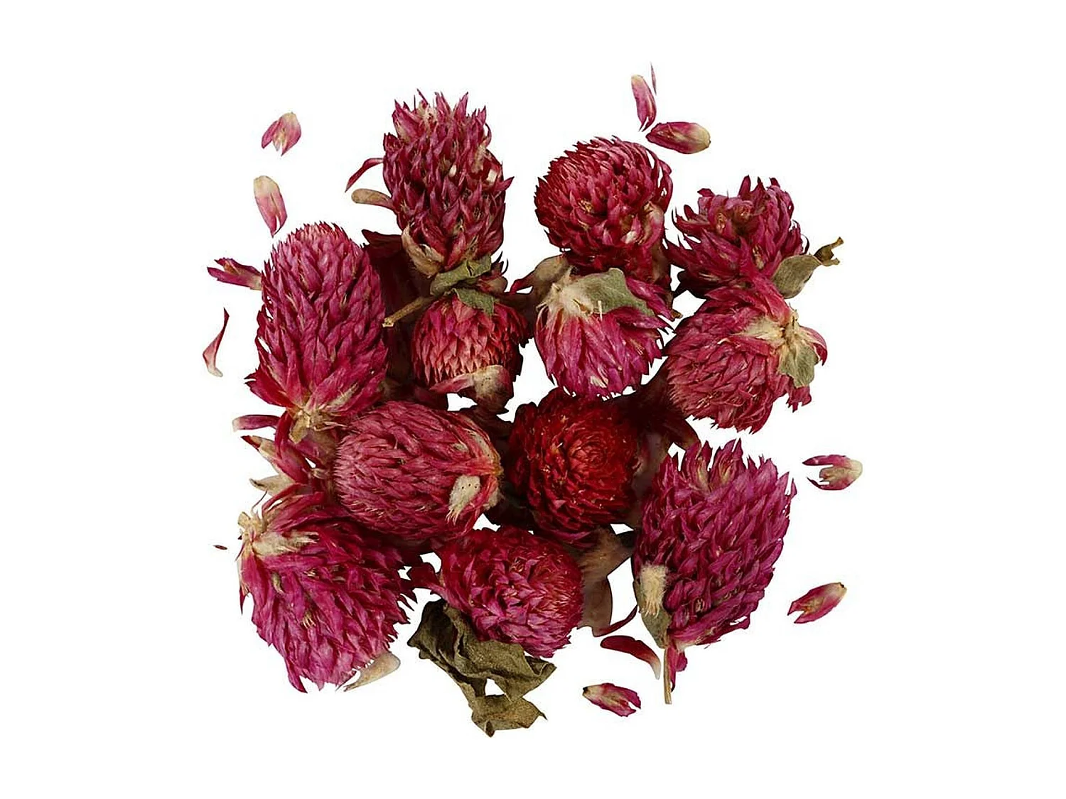 Fiori secchi Trifoglio rosso 30 g