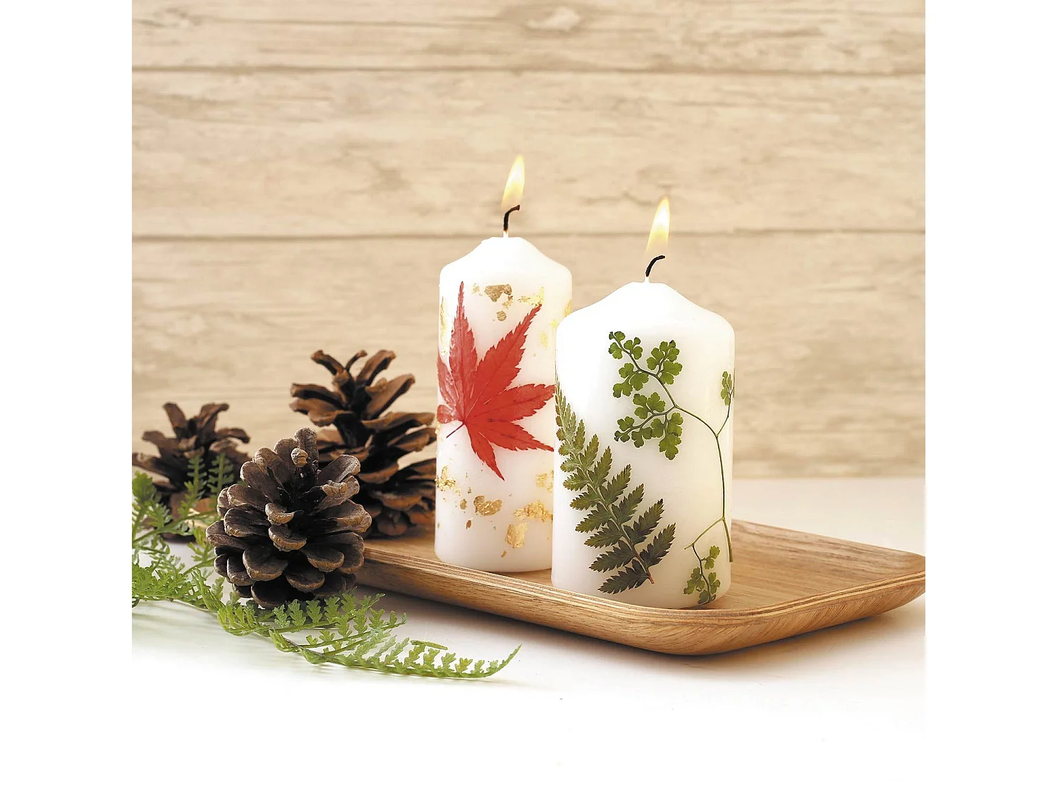 15 fleurs pressées - forêt 1