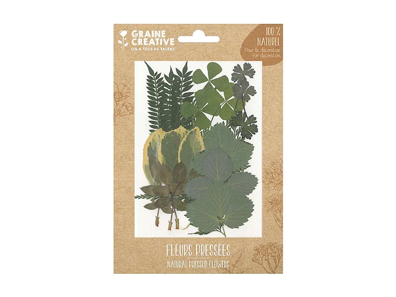 21 fleurs pressées - forêt 2