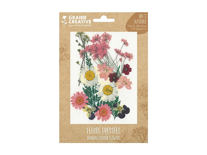 16 fiori pressati prato rosa