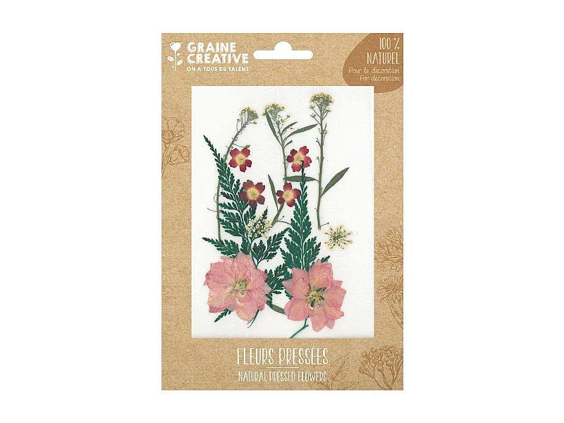 13 fleurs pressées - prairie rouge