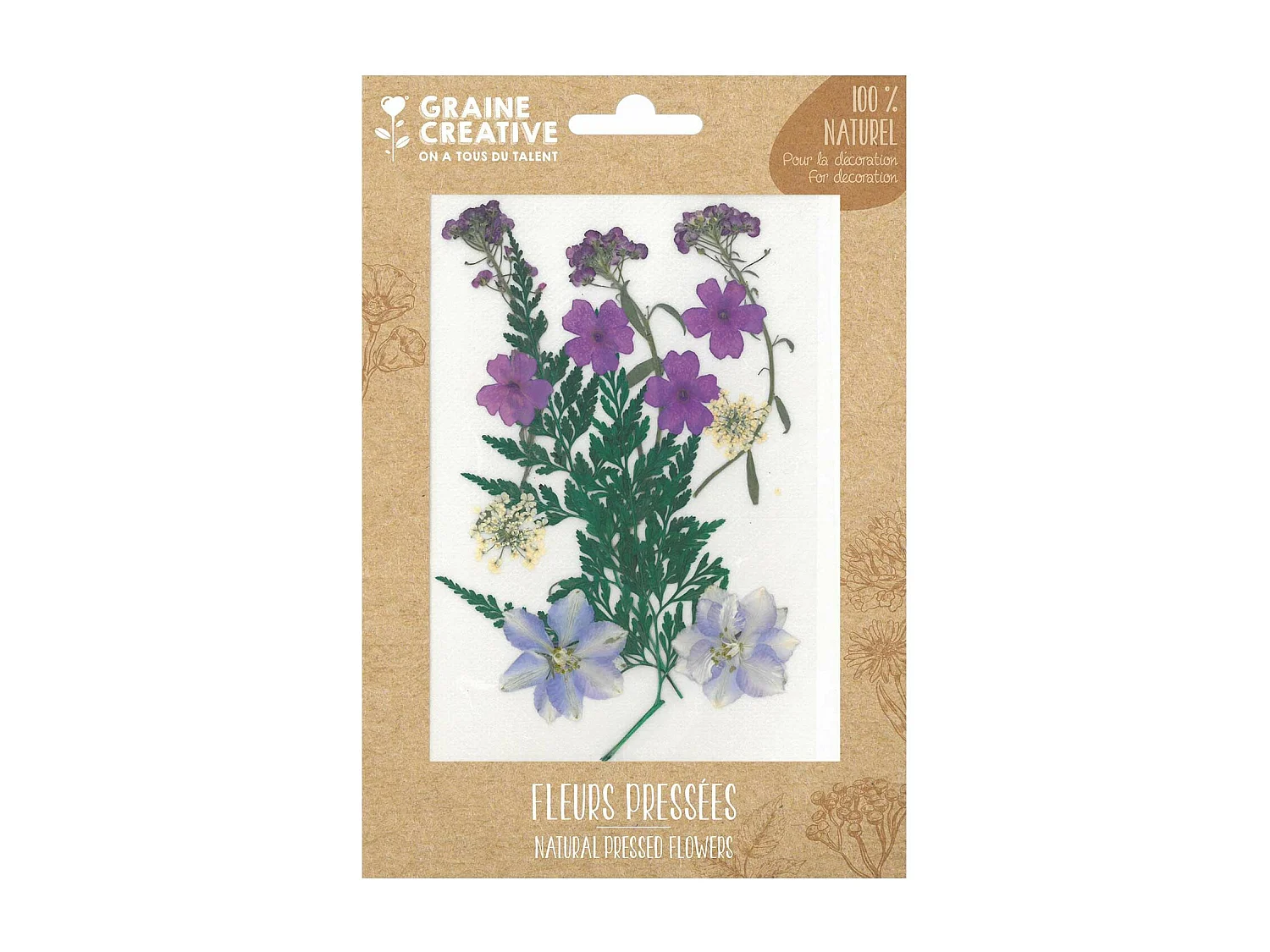 13 fleurs pressées - prairie violette
