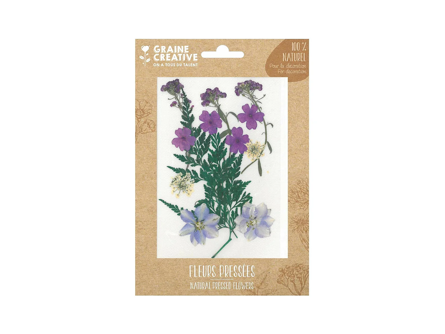 13 fleurs pressées - prairie violette