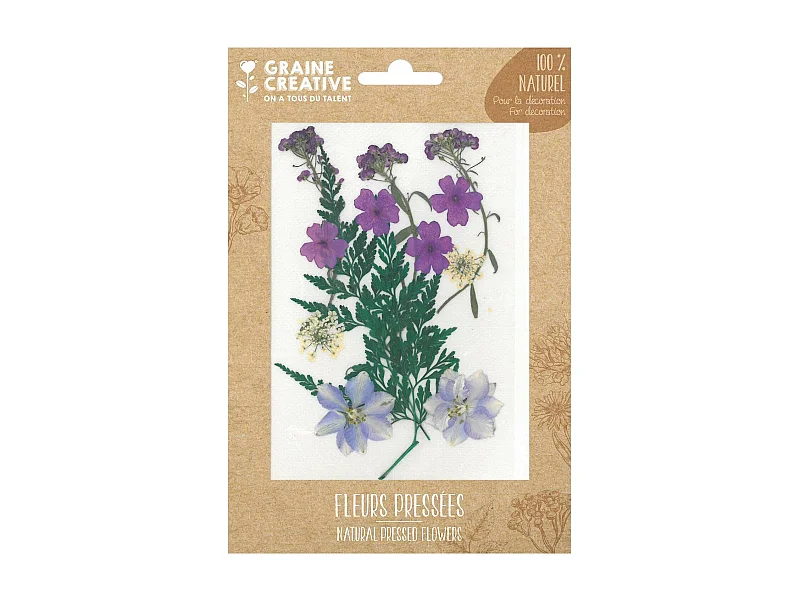 13 fleurs pressées - prairie violette
