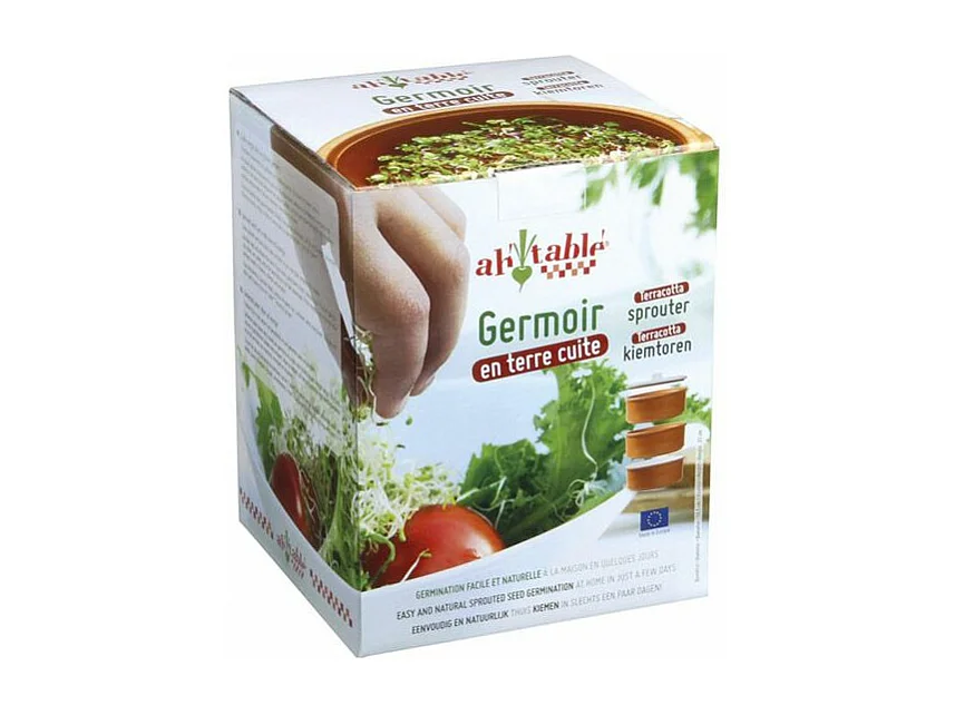 Germoir aus Terrakotta