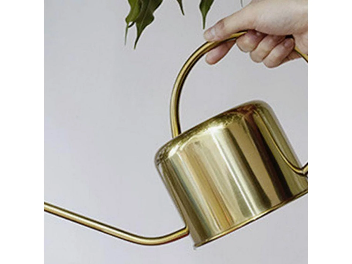 2 regaderas vintage de acero inoxidable dorado 1,2 litros