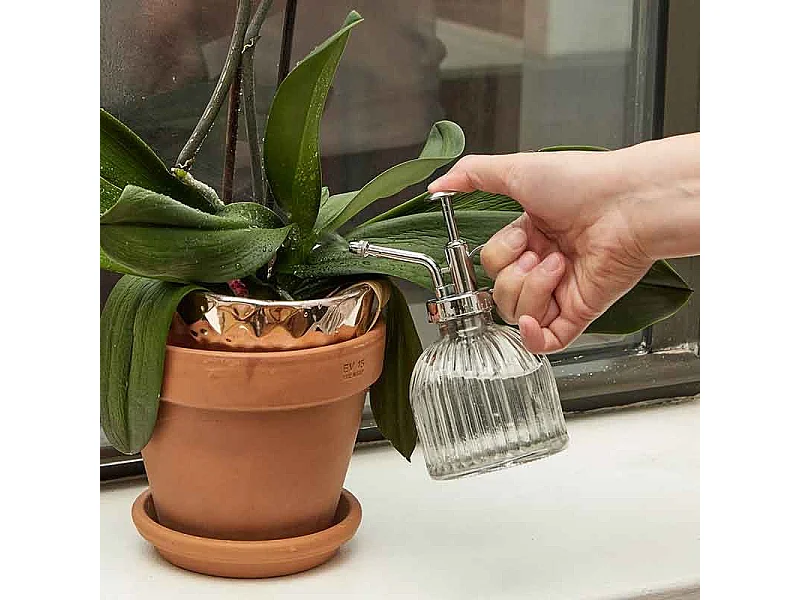 Arrosoir Spray pour plantes - style rétro