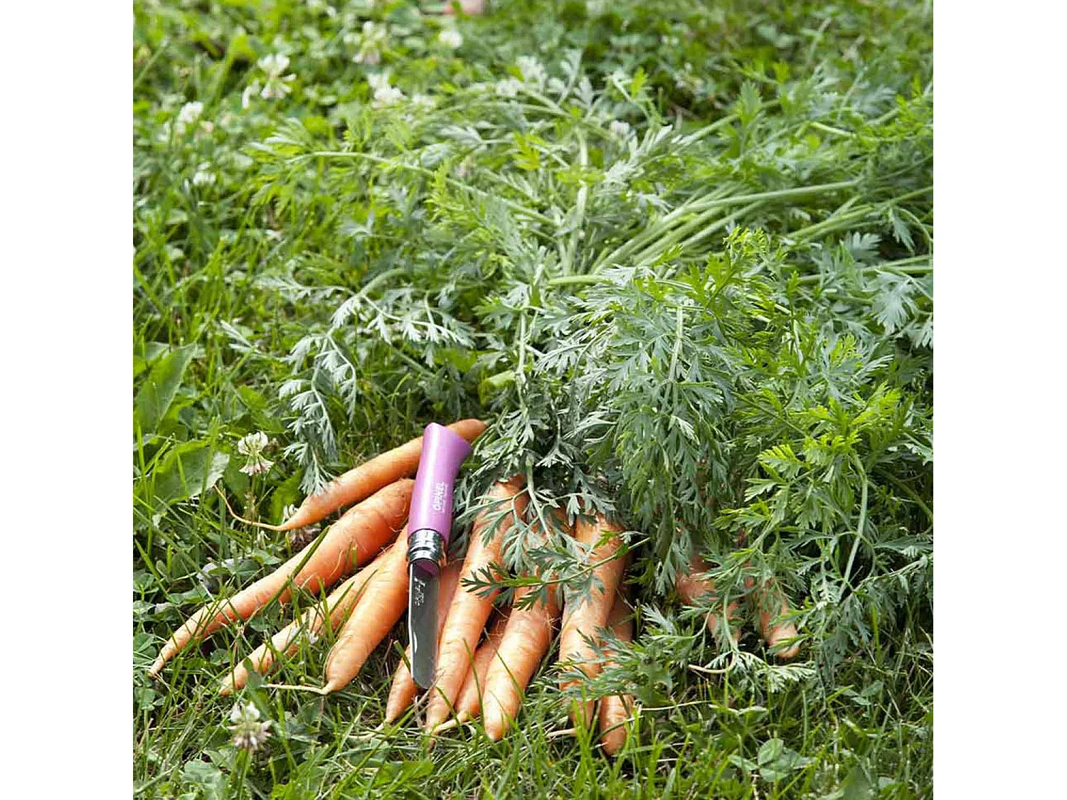 Mon premier couteau Opinel rose n°07