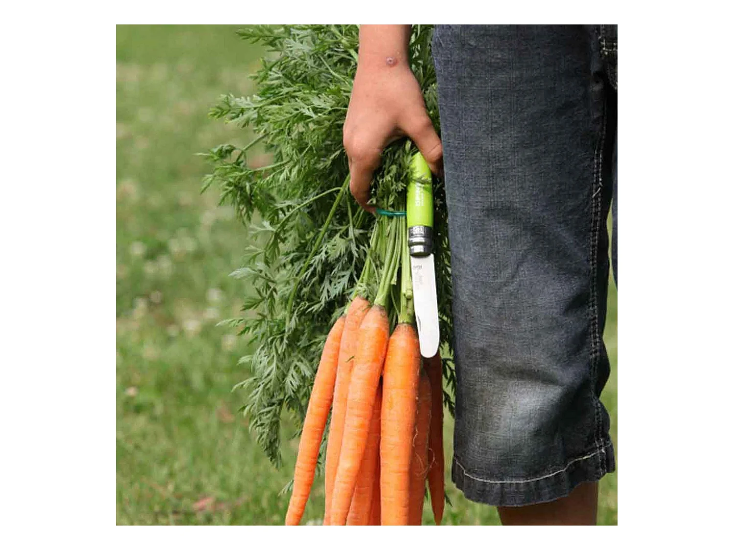 Mon premier couteau Opinel bleu n°07