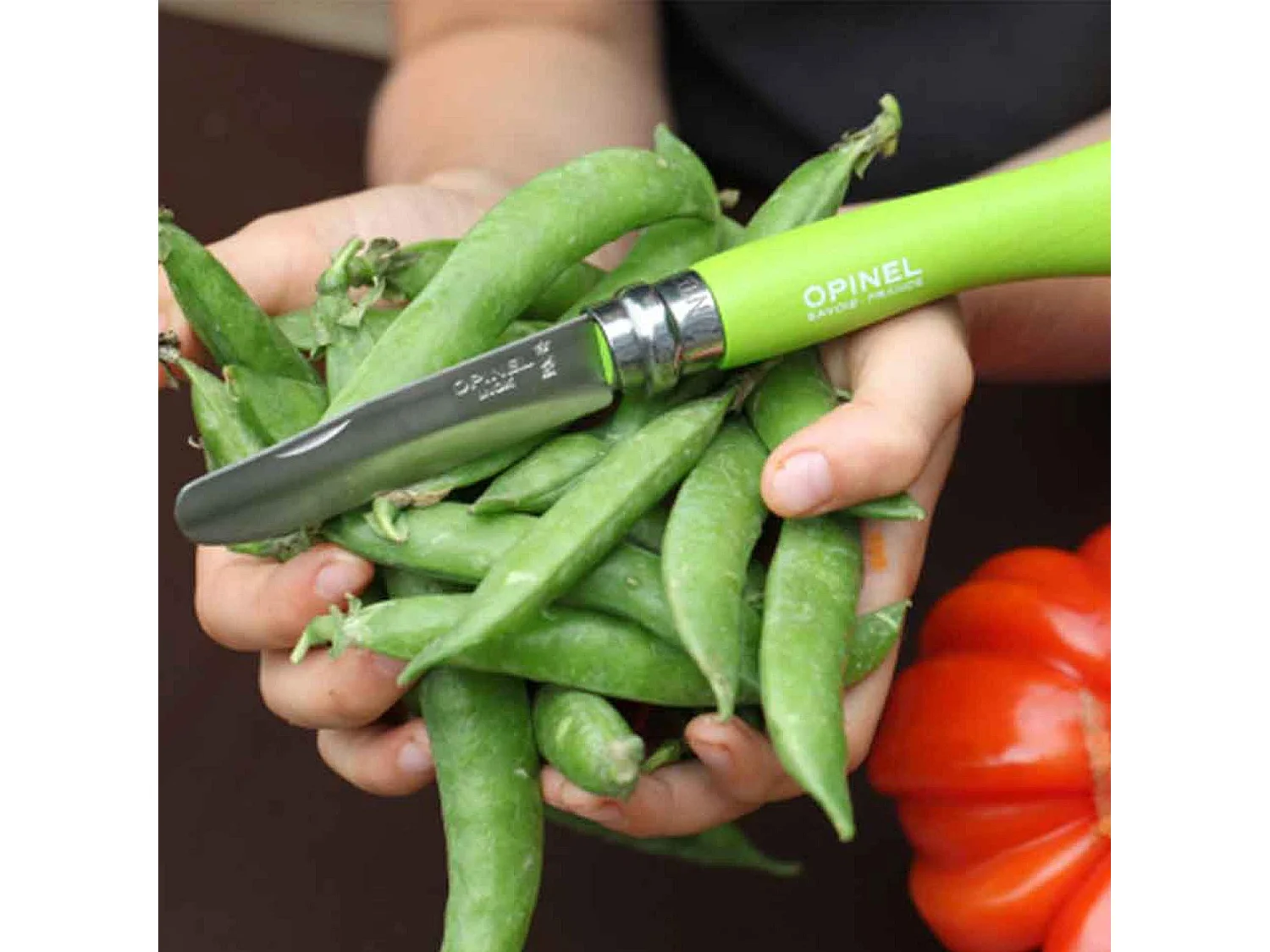 Mon premier couteau Opinel vert pomme n°07