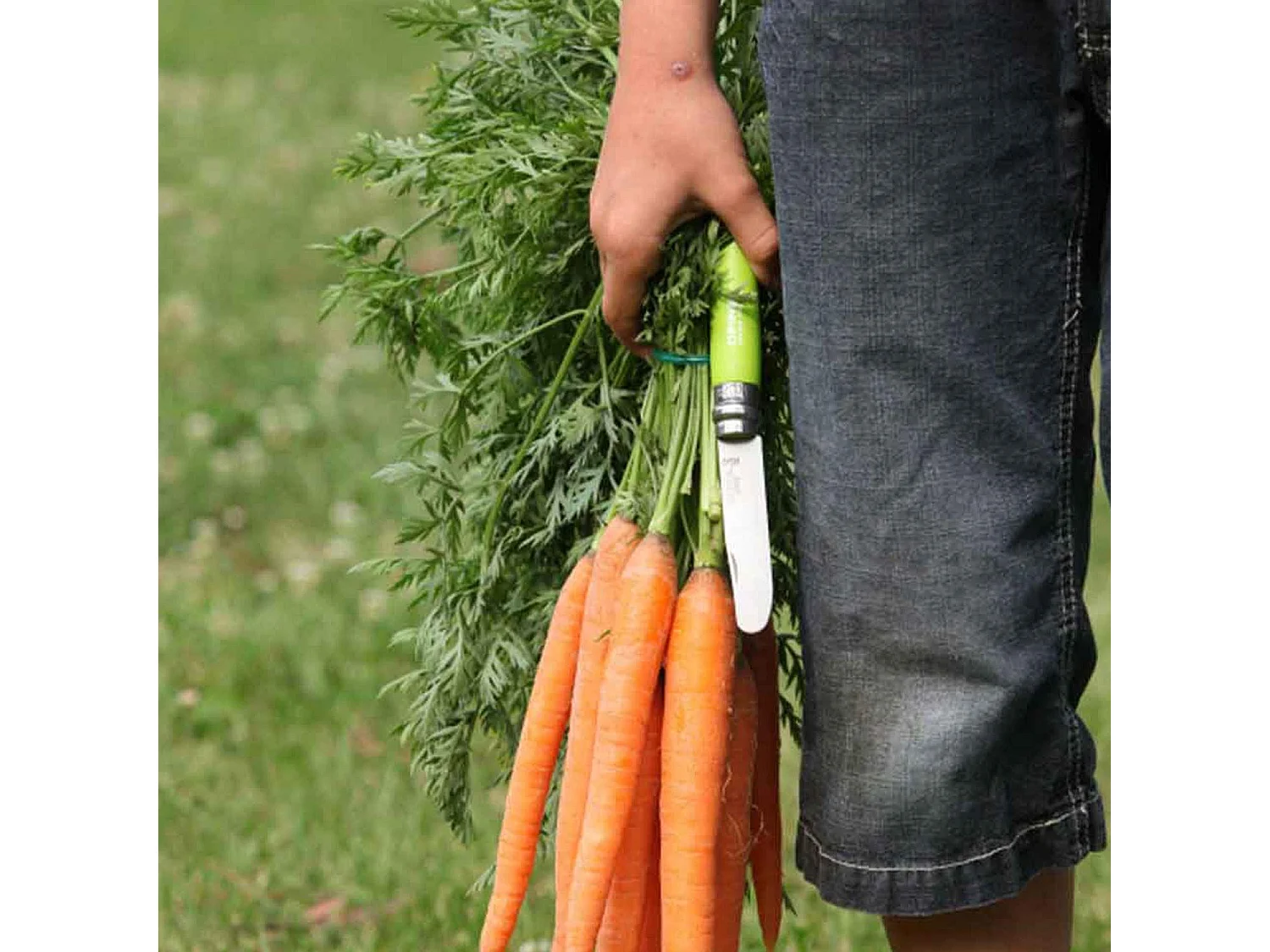 Mon premier couteau Opinel vert pomme n°07