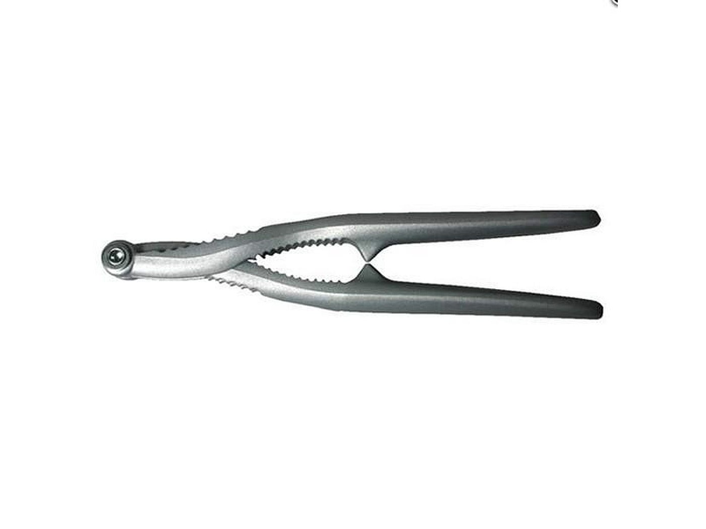 Pinza per aragosta acciaio inox cm 19 | Posate da tavola | rausa srl