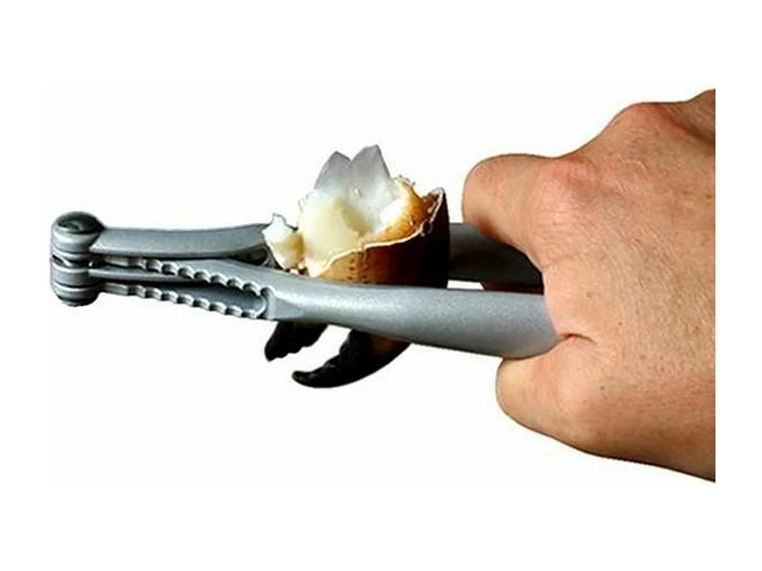 6 pinces à crustacés réversibles