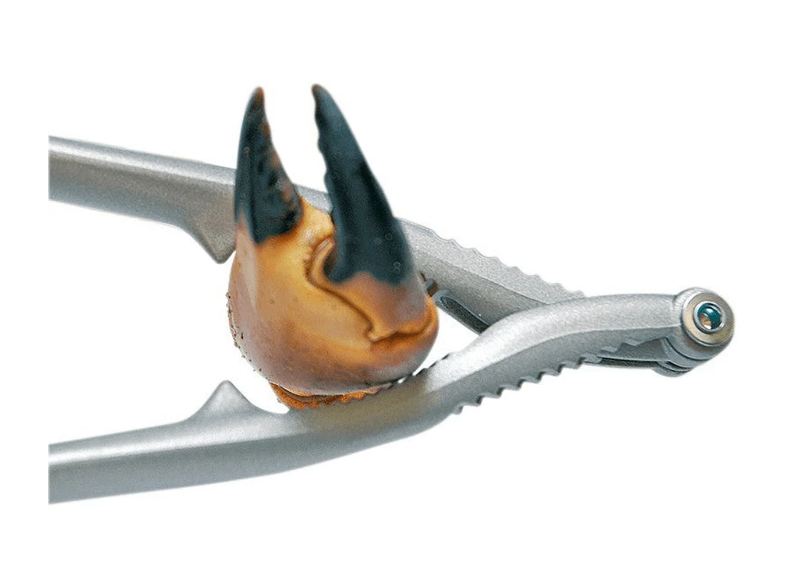 6 pinces à crustacés réversibles