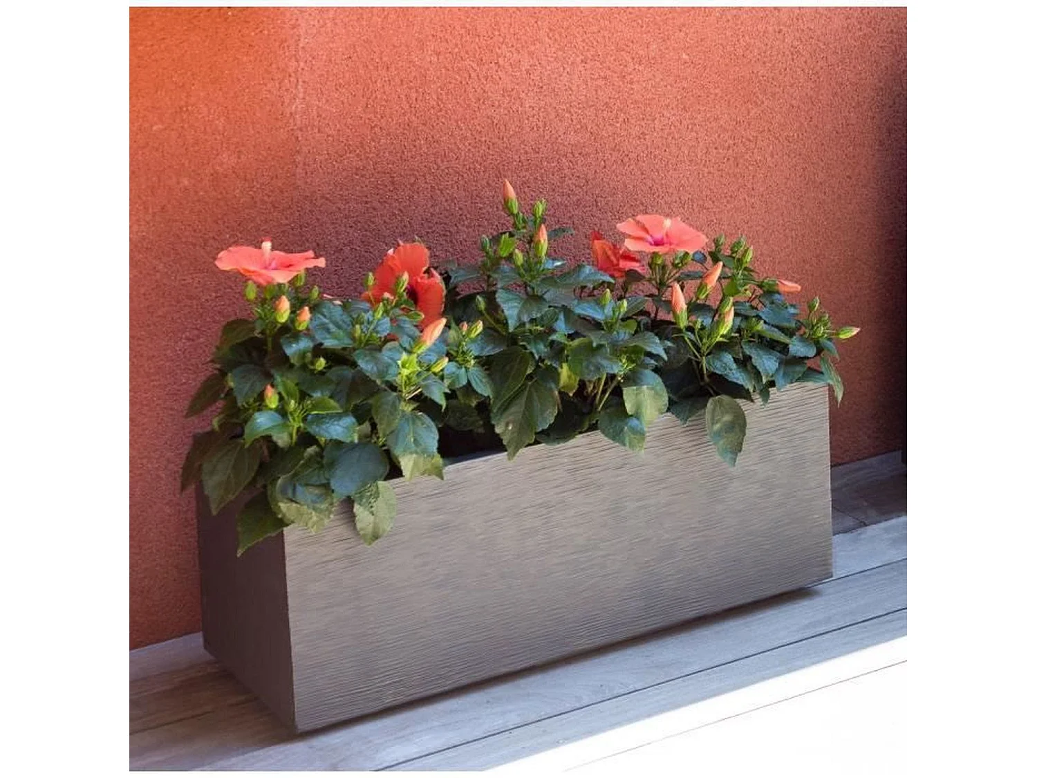 Jardinière rectangulaire Graphit Up 79,5 x 29,5 x 29,5 cm - 57L - Gris anthracite - Eda