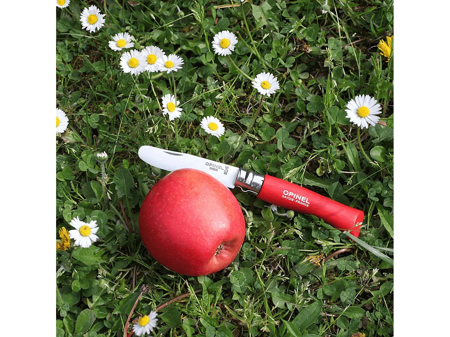 Mi primer cuchillo Opinel rojo n°07