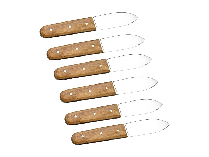 6 sint-jakobsschelpmessen