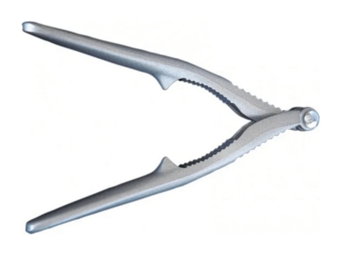 2 Edelstahl Muschelzange