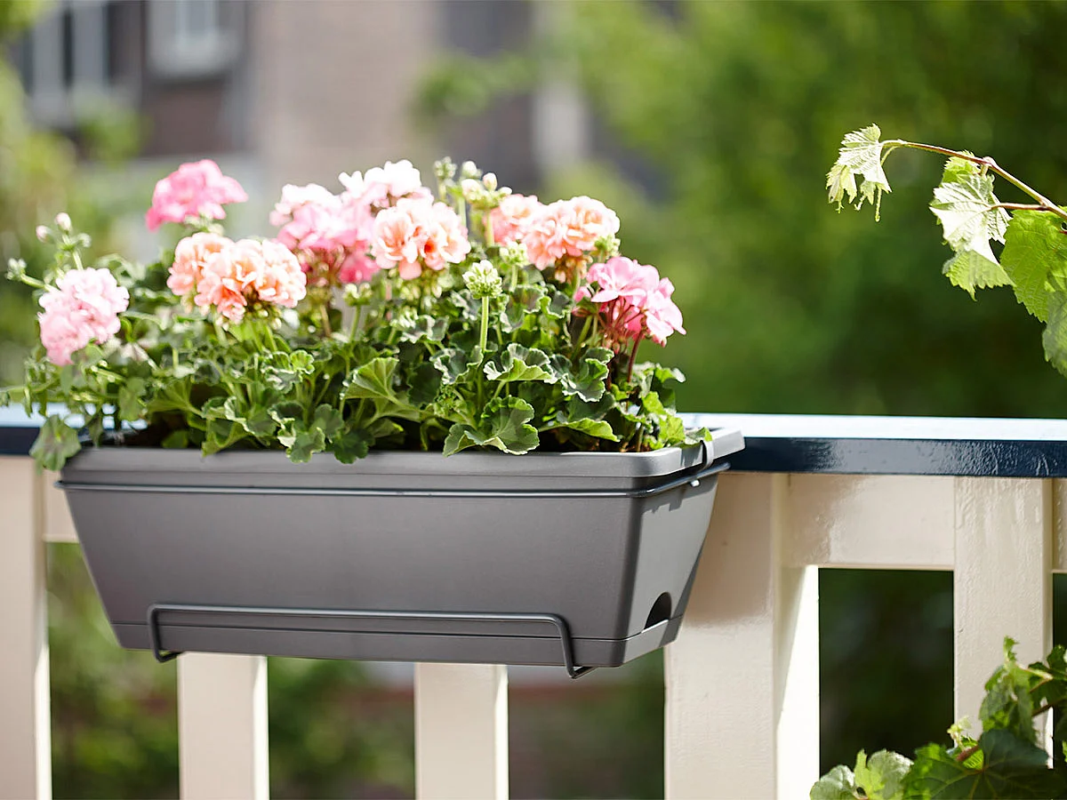 Balconnière en plastique elho Barcelona all in 1 - 50 x 20 cm - anthracite