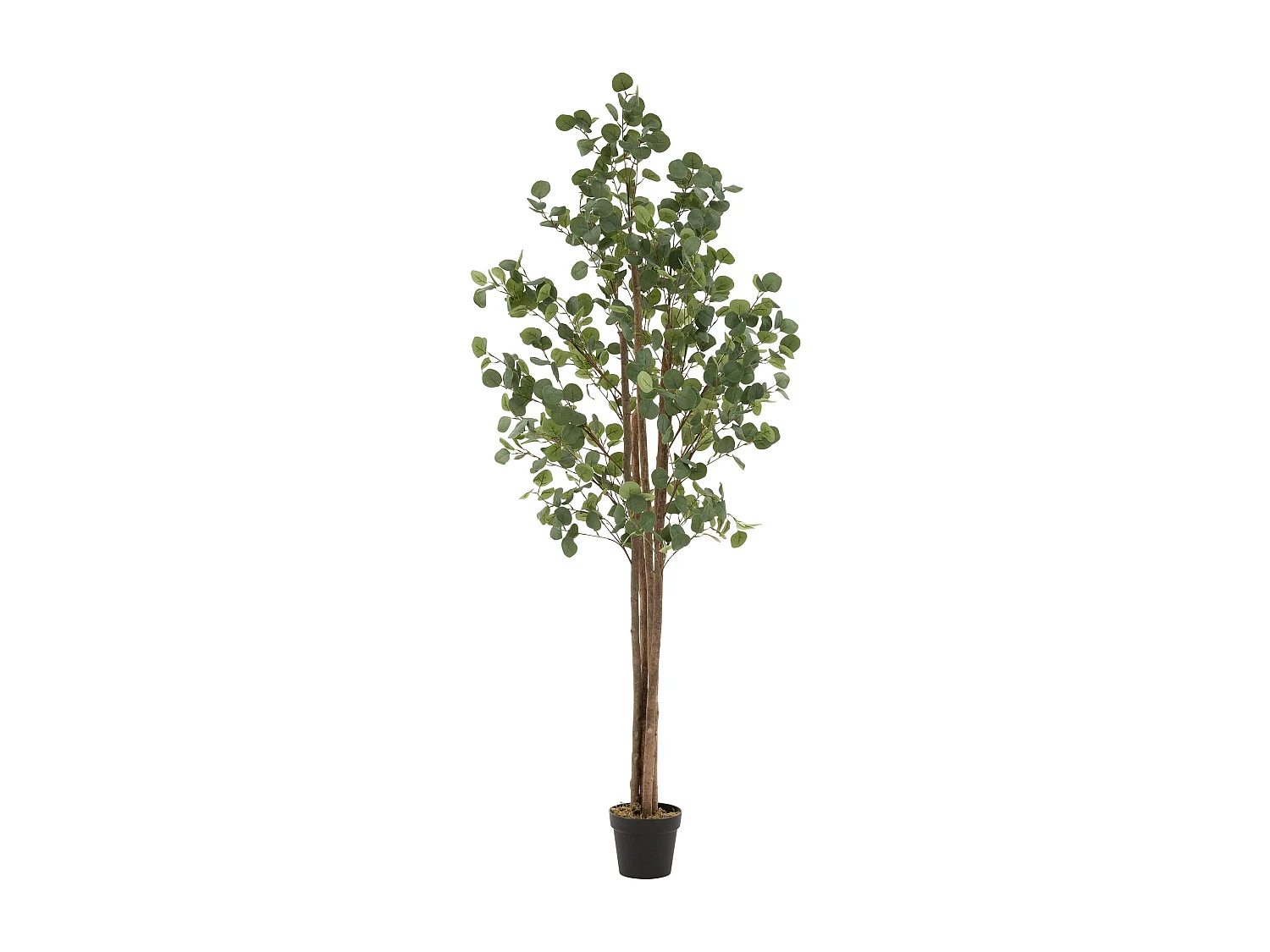 Eucalipto artificiale in vaso 210 cm – pianta finta albero decorativo realistico