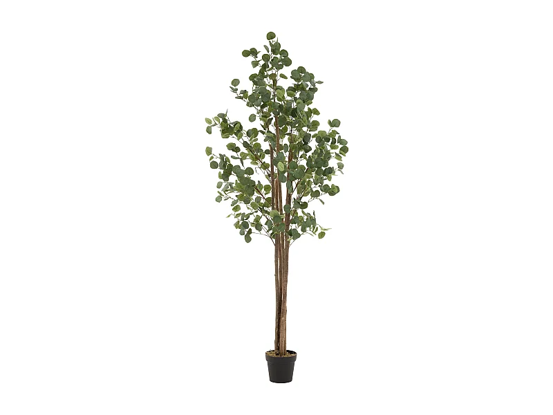 Eucalipto artificiale in vaso 210 cm – pianta finta albero decorativo realistico