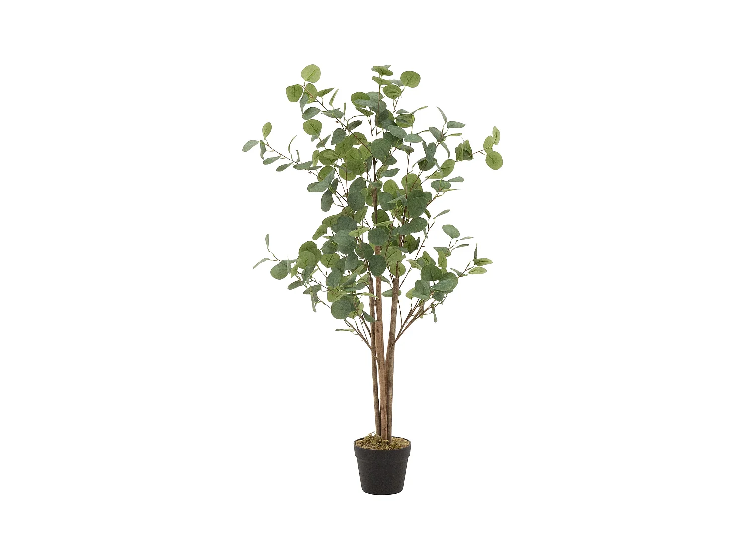 Eucalyptus artificiel Plante artificielle Eucalyptus arbre artificiel en pot 120