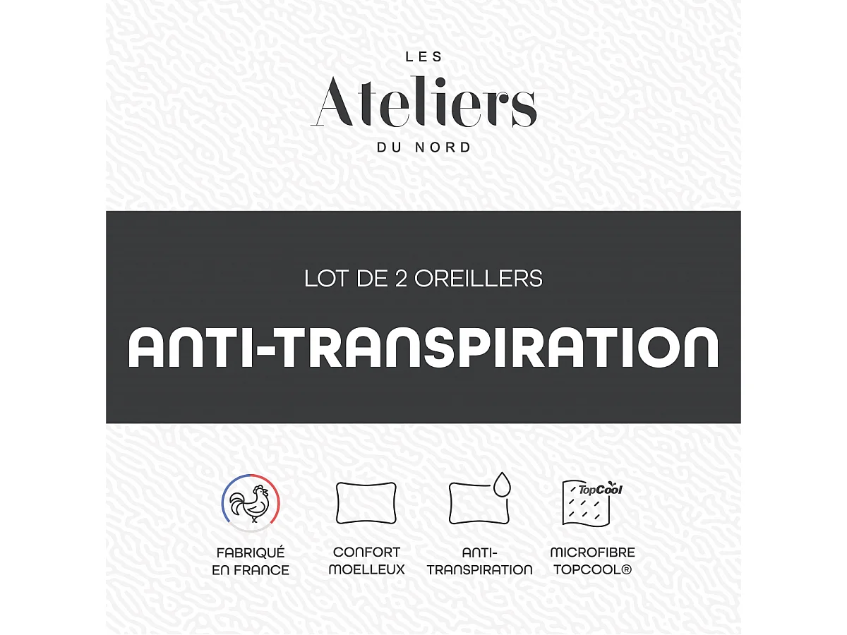 Lot de 2 oreillers Anti-transpiration 60x60cm
